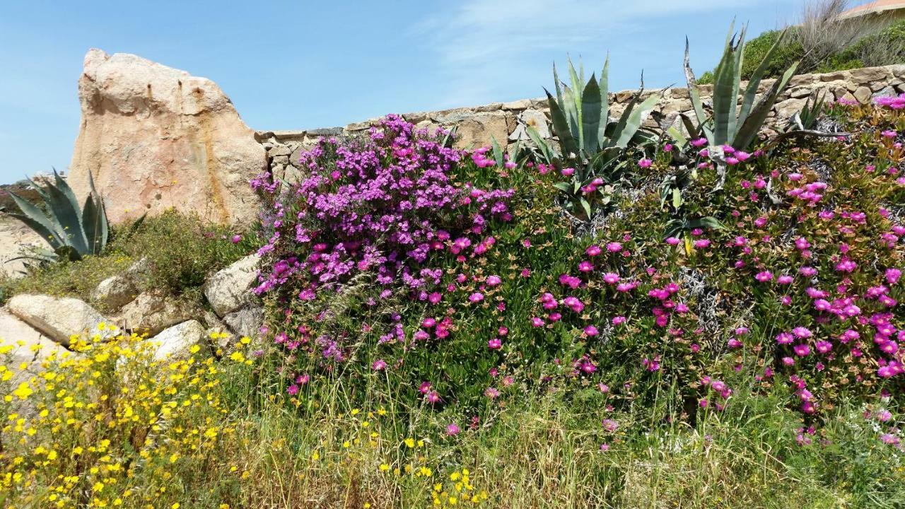 Casa Vacanze Della Maddalena Kültér fotó